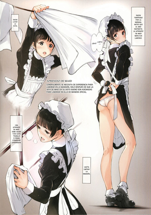 MAID IROIRO