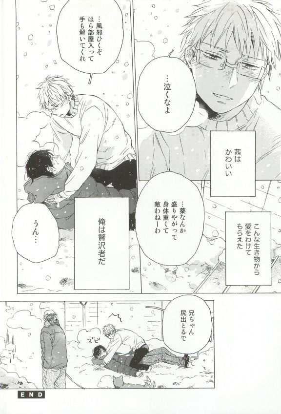 Cab Vol.36