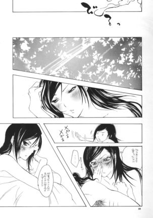 Strelitzia - Page 40