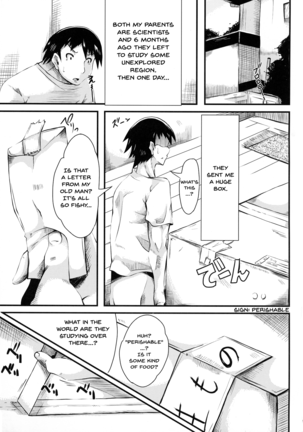 Hikyou kara no Okurimono - Page 3