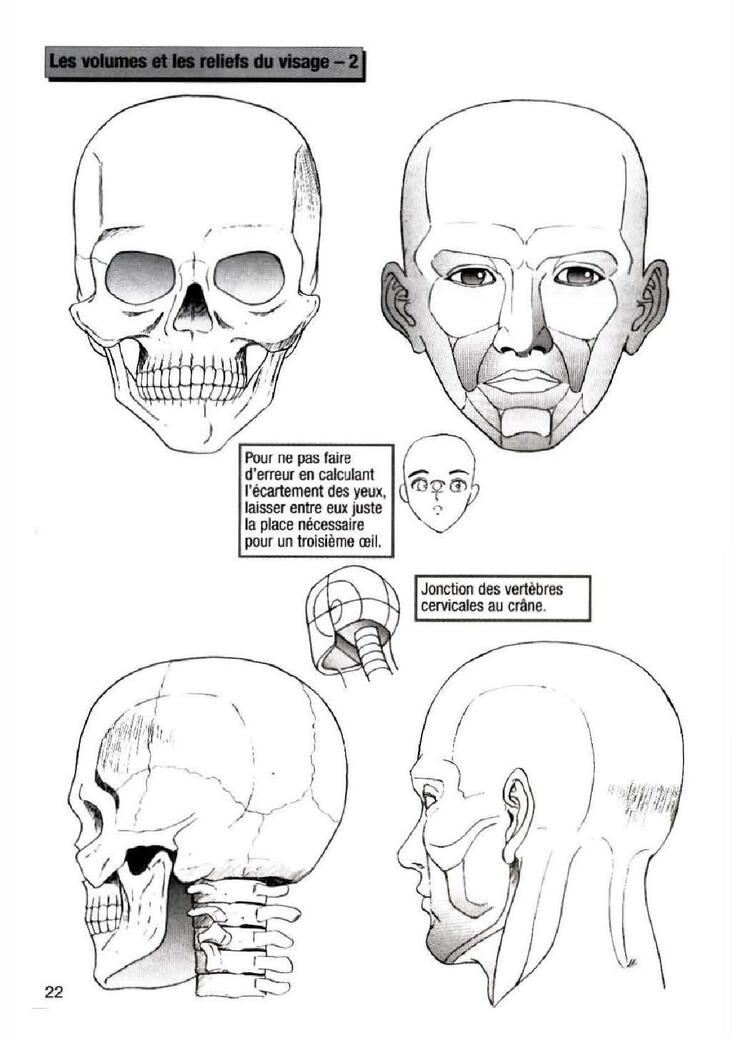 How To Draw Manga Vol. 25 Bodies and Anatomy
