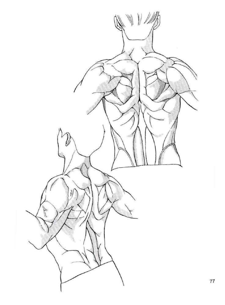 How To Draw Manga Vol. 25 Bodies and Anatomy