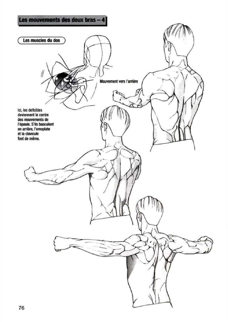 How To Draw Manga Vol. 25 Bodies and Anatomy