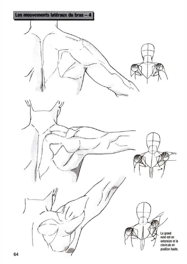 How To Draw Manga Vol. 25 Bodies and Anatomy