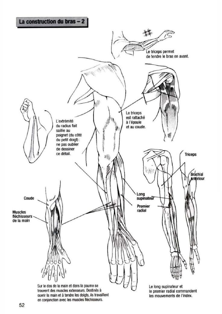 How To Draw Manga Vol. 25 Bodies and Anatomy