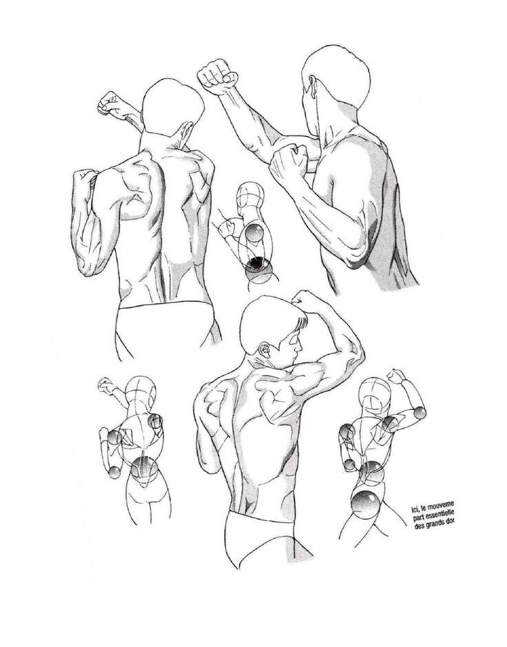 How To Draw Manga Vol. 25 Bodies and Anatomy