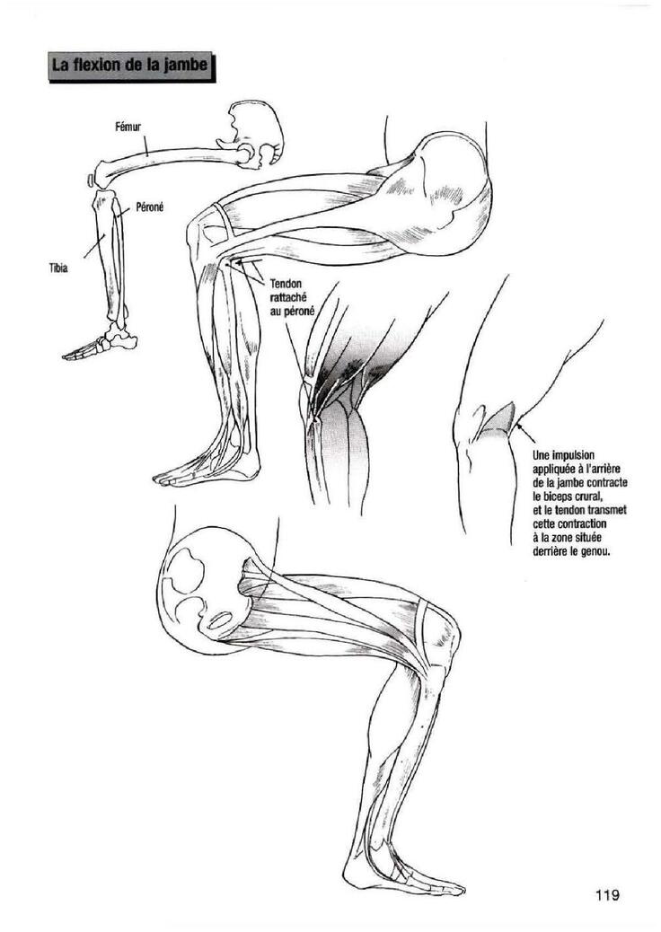 How To Draw Manga Vol. 25 Bodies and Anatomy