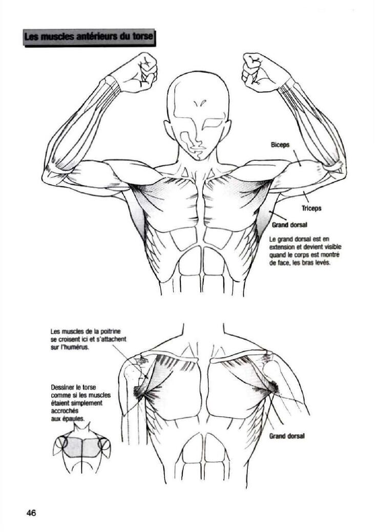 How To Draw Manga Vol. 25 Bodies and Anatomy