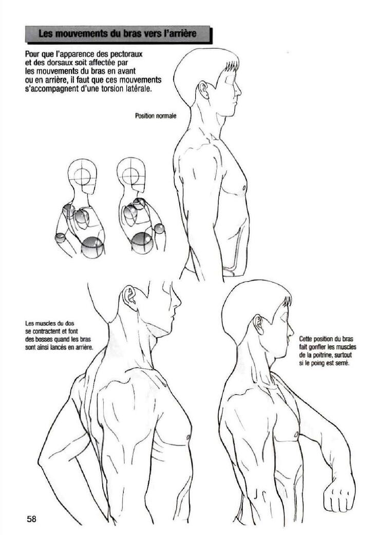 How To Draw Manga Vol. 25 Bodies and Anatomy