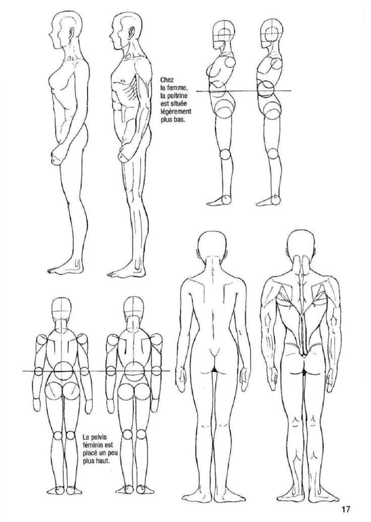 How To Draw Manga Vol. 25 Bodies and Anatomy