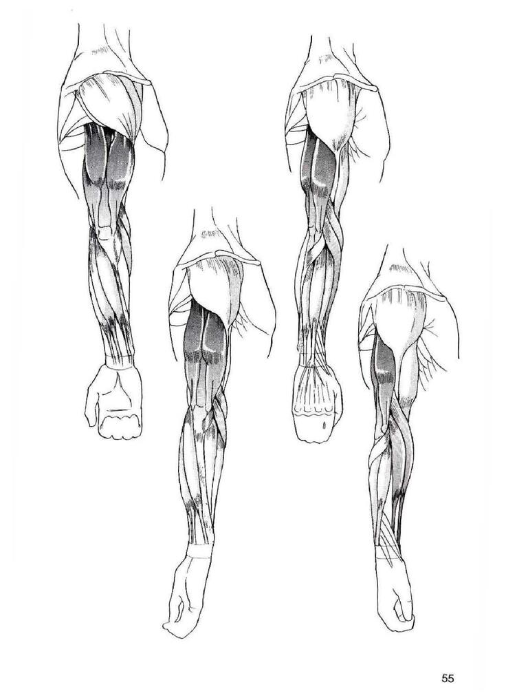How To Draw Manga Vol. 25 Bodies and Anatomy