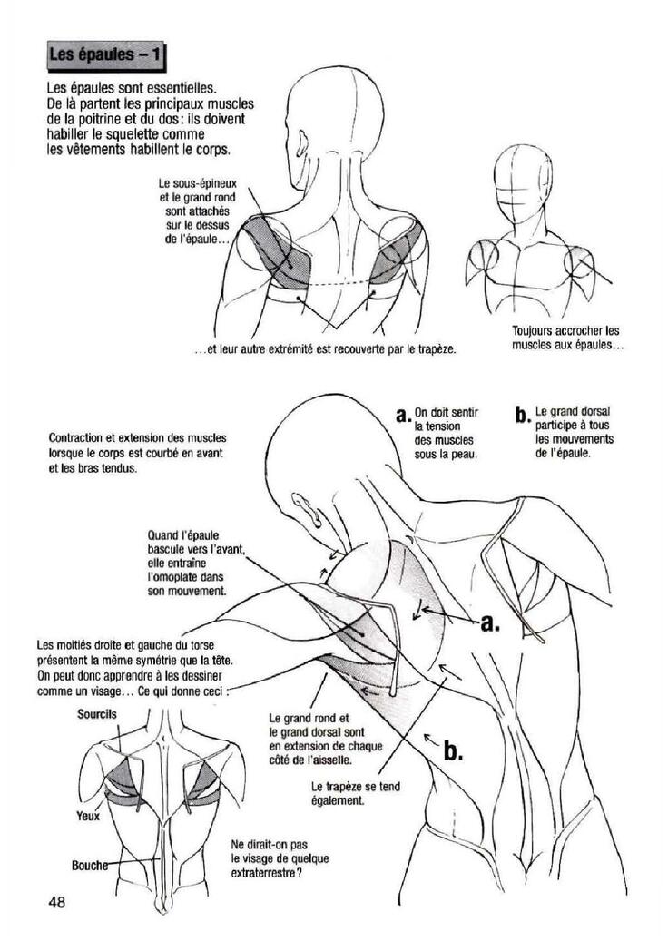 How To Draw Manga Vol. 25 Bodies and Anatomy