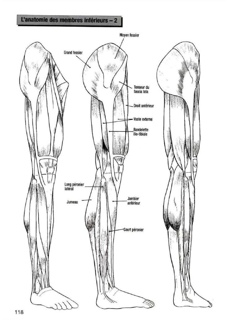 How To Draw Manga Vol. 25 Bodies and Anatomy