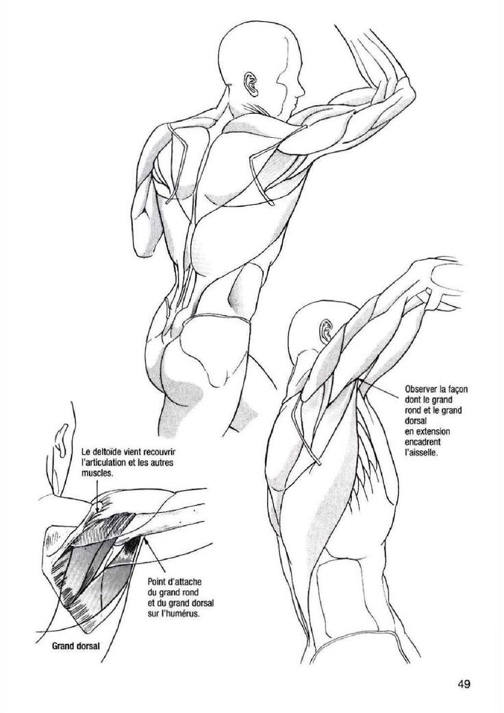 How To Draw Manga Vol. 25 Bodies and Anatomy