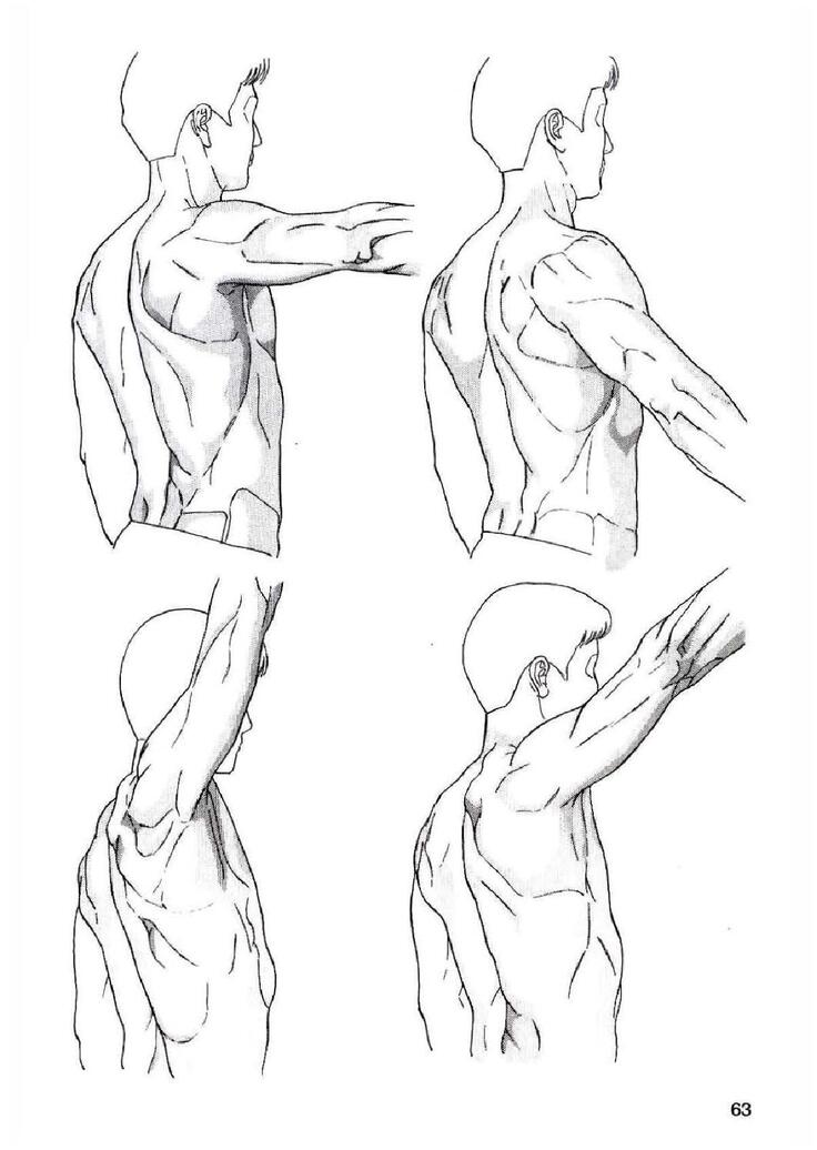 How To Draw Manga Vol. 25 Bodies and Anatomy