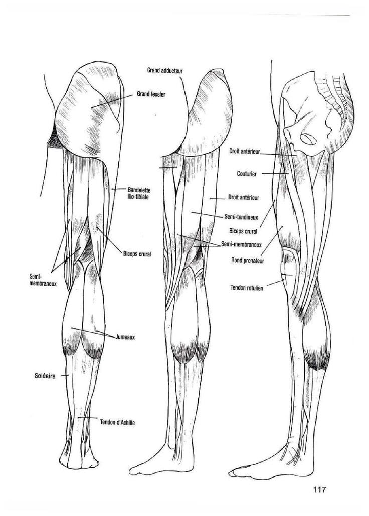 How To Draw Manga Vol. 25 Bodies and Anatomy