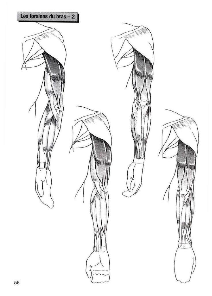 How To Draw Manga Vol. 25 Bodies and Anatomy