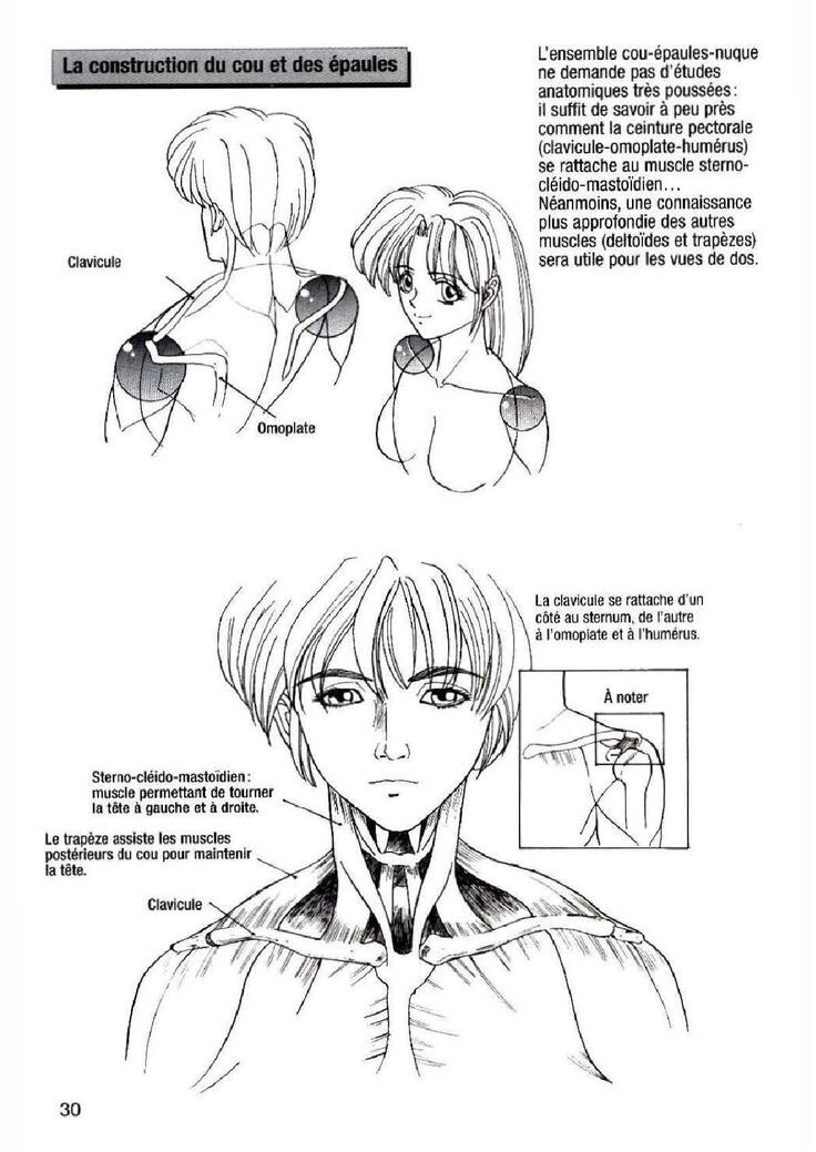How To Draw Manga Vol. 25 Bodies and Anatomy