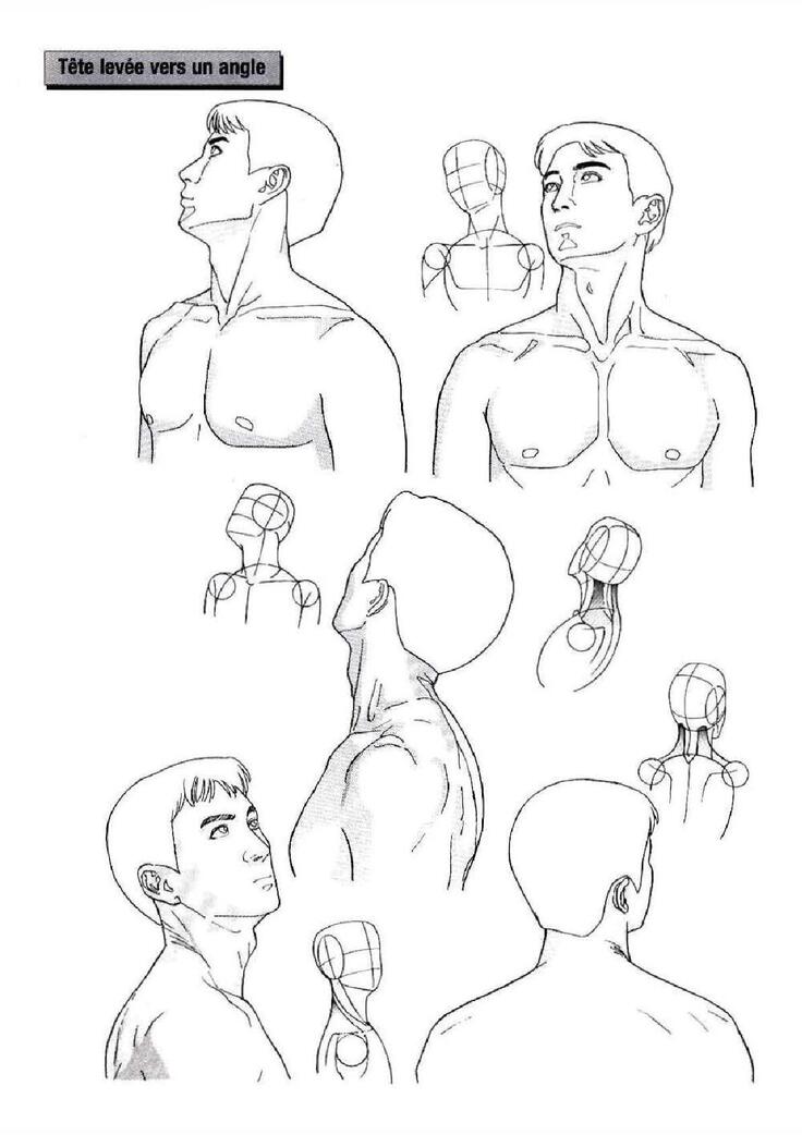 How To Draw Manga Vol. 25 Bodies and Anatomy