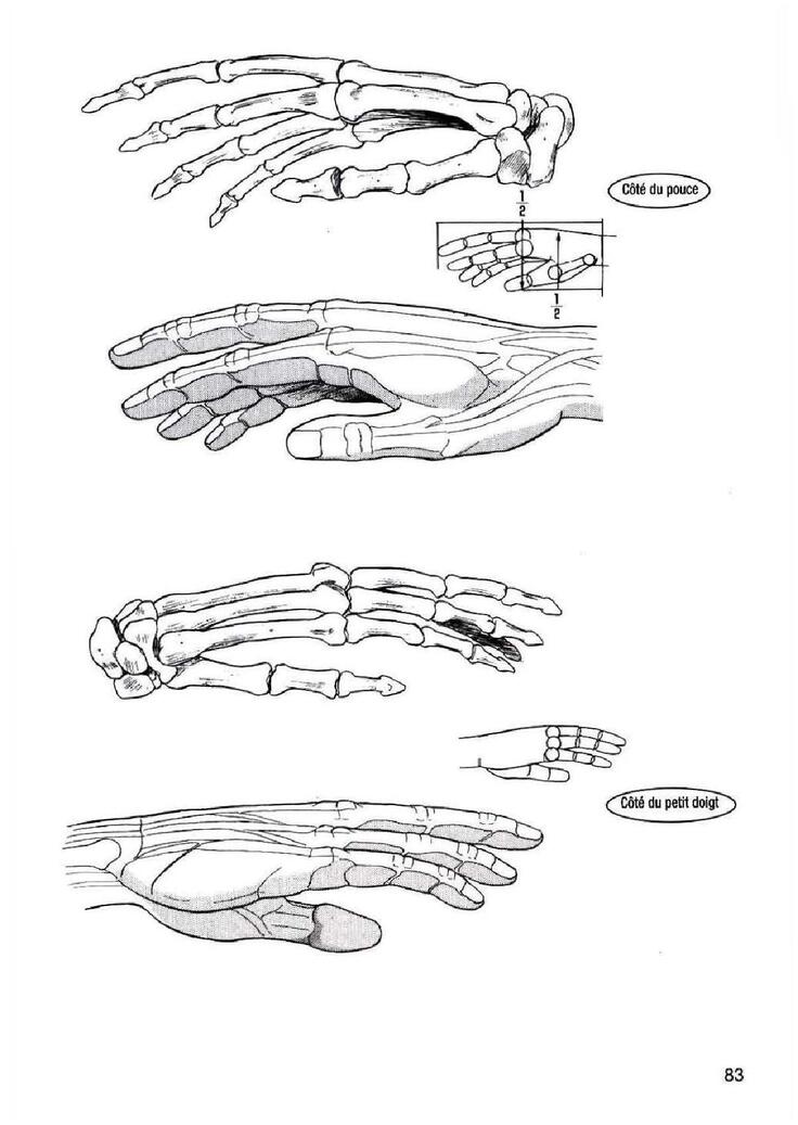 How To Draw Manga Vol. 25 Bodies and Anatomy
