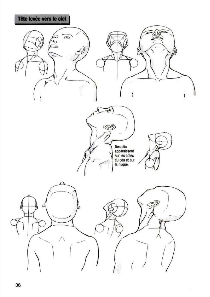 How To Draw Manga Vol. 25 Bodies and Anatomy