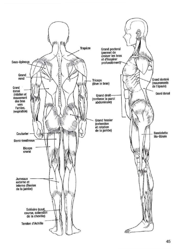How To Draw Manga Vol. 25 Bodies and Anatomy