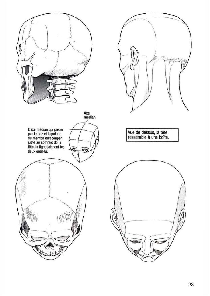 How To Draw Manga Vol. 25 Bodies and Anatomy