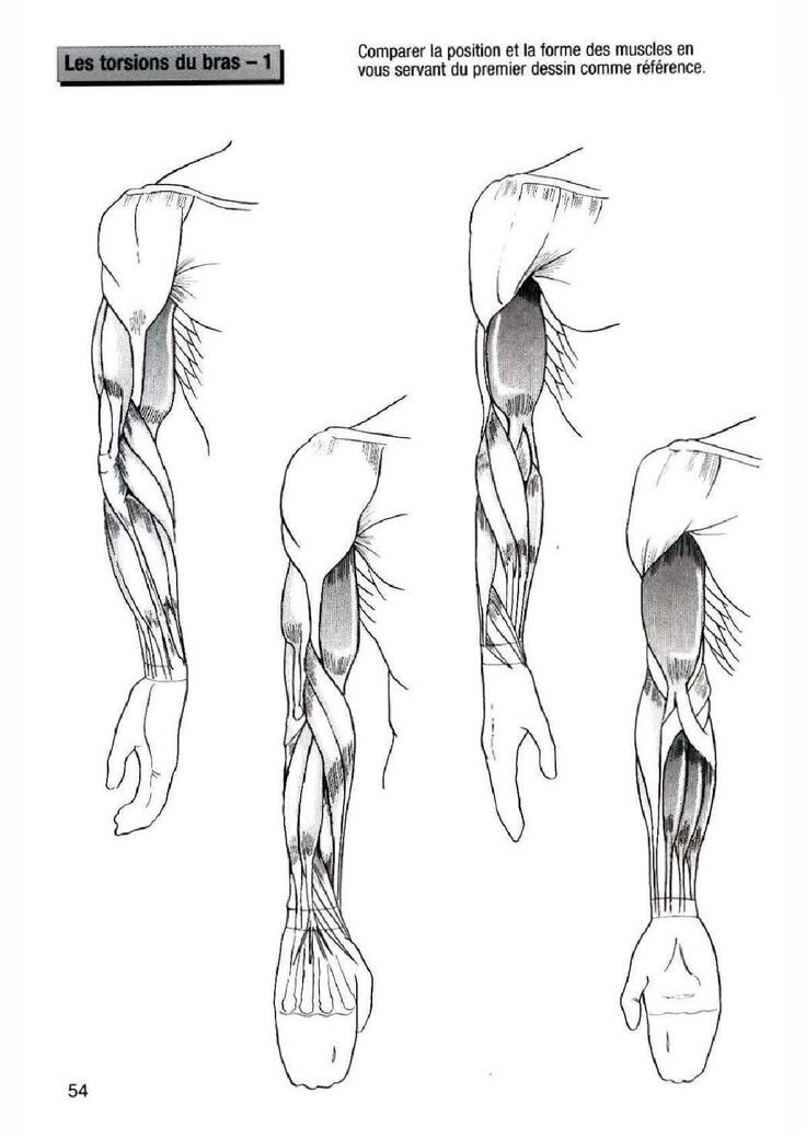 How To Draw Manga Vol. 25 Bodies and Anatomy