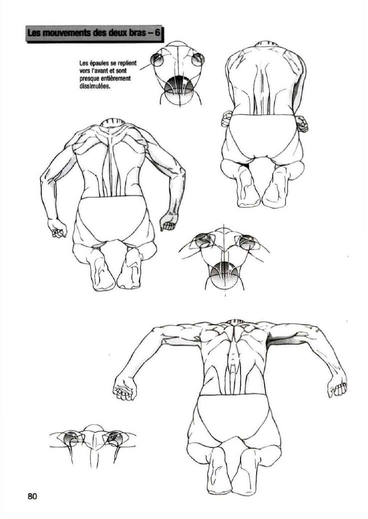 How To Draw Manga Vol. 25 Bodies and Anatomy