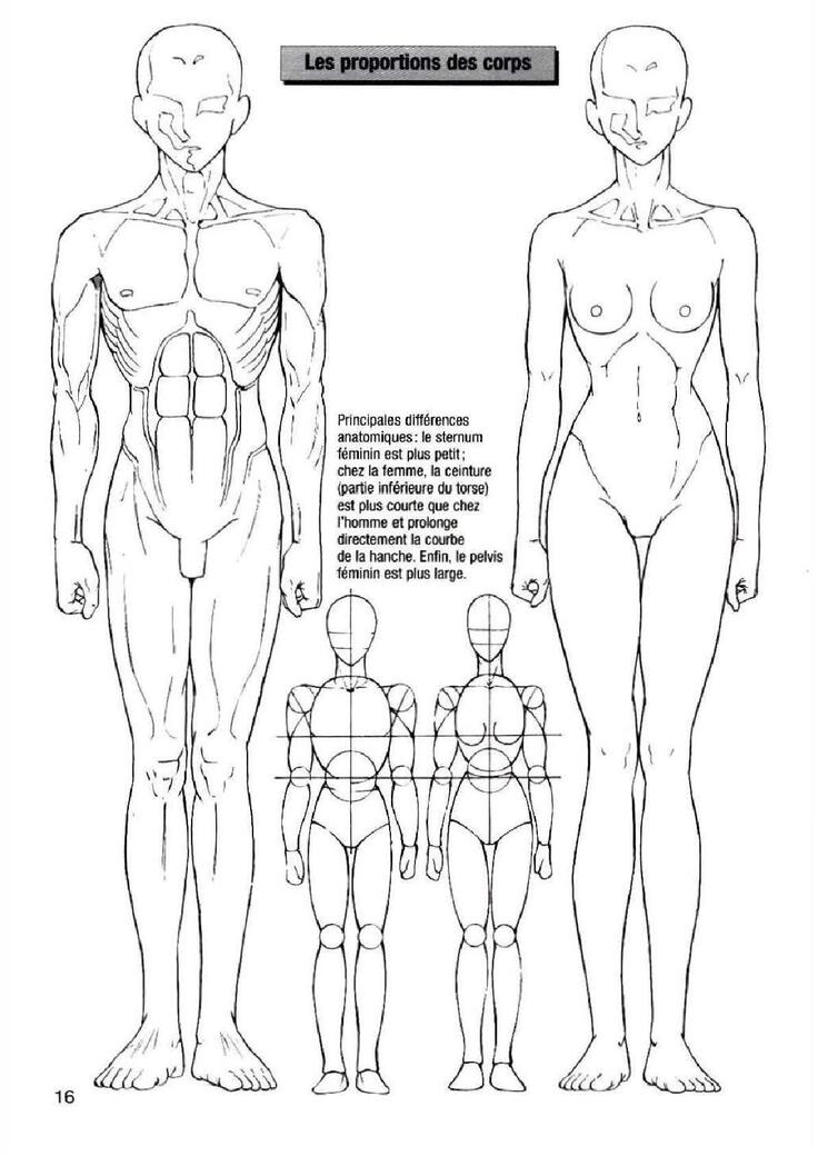 How To Draw Manga Vol. 25 Bodies and Anatomy