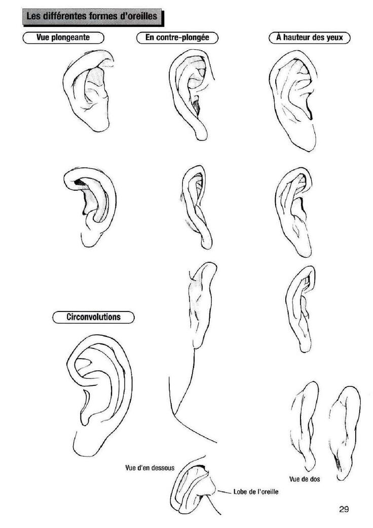 How To Draw Manga Vol. 25 Bodies and Anatomy