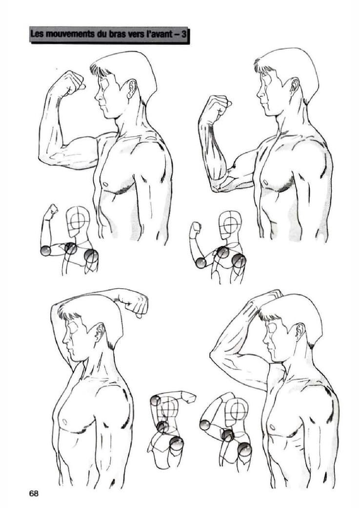 How To Draw Manga Vol. 25 Bodies and Anatomy