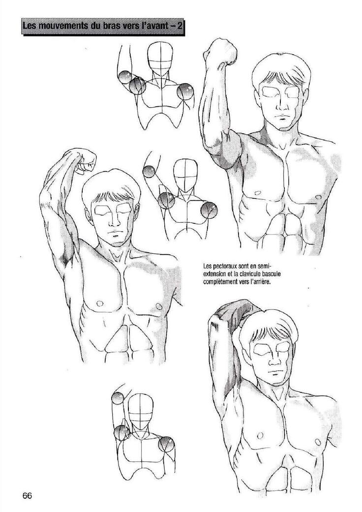 How To Draw Manga Vol. 25 Bodies and Anatomy