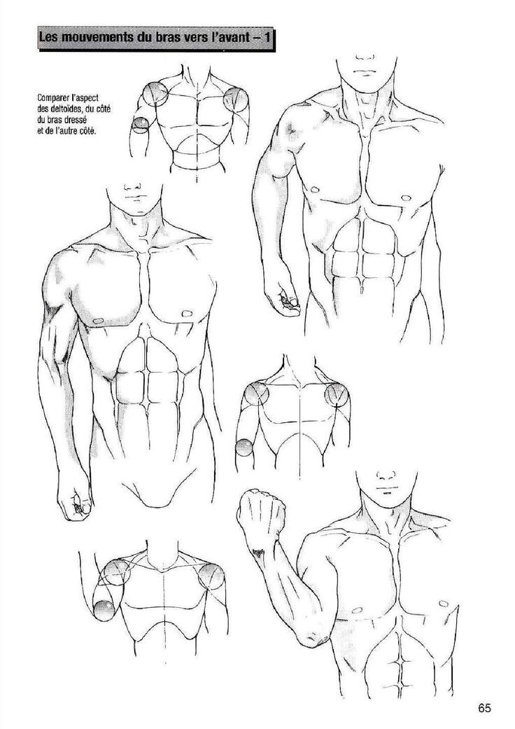 How To Draw Manga Vol. 25 Bodies and Anatomy