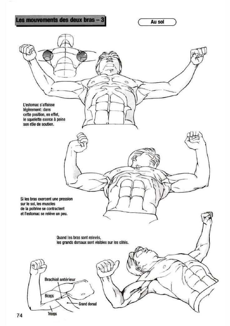 How To Draw Manga Vol. 25 Bodies and Anatomy