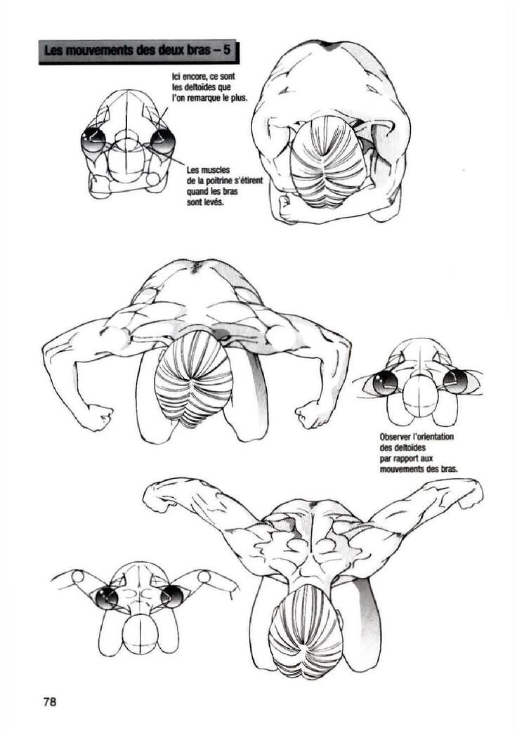 How To Draw Manga Vol. 25 Bodies and Anatomy