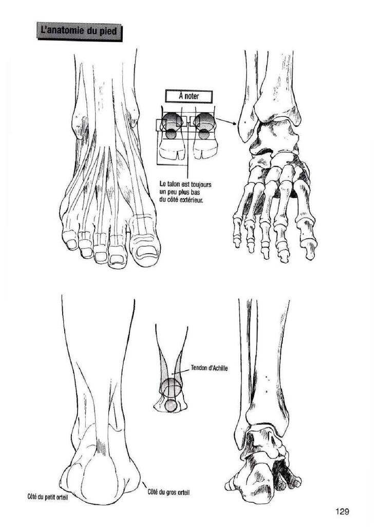 How To Draw Manga Vol. 25 Bodies and Anatomy