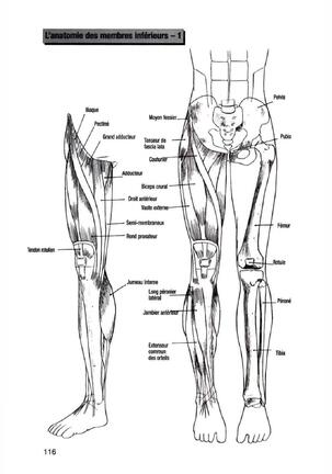 How To Draw Manga Vol. 25 Bodies and Anatomy Page #116