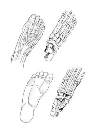 How To Draw Manga Vol. 25 Bodies and Anatomy Page #130