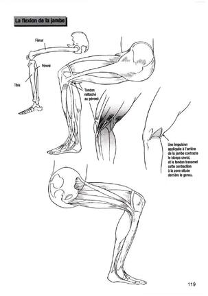 How To Draw Manga Vol. 25 Bodies and Anatomy Page #119