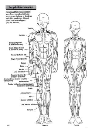 How To Draw Manga Vol. 25 Bodies and Anatomy Page #44