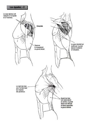 How To Draw Manga Vol. 25 Bodies and Anatomy Page #50