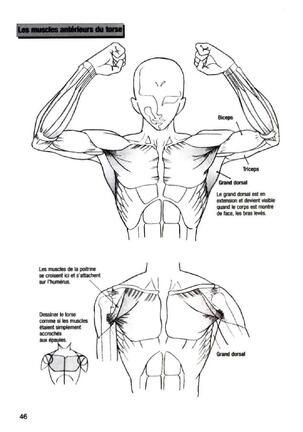 How To Draw Manga Vol. 25 Bodies and Anatomy Page #46