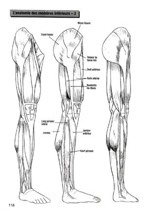 How To Draw Manga Vol. 25 Bodies and Anatomy Page #118