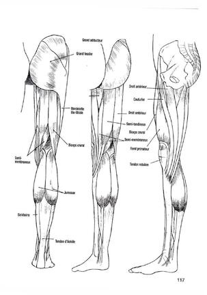 How To Draw Manga Vol. 25 Bodies and Anatomy Page #117