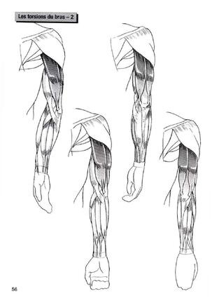 How To Draw Manga Vol. 25 Bodies and Anatomy Page #56