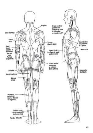 How To Draw Manga Vol. 25 Bodies and Anatomy Page #45