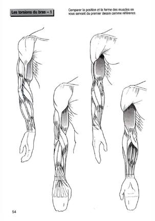 How To Draw Manga Vol. 25 Bodies and Anatomy Page #54