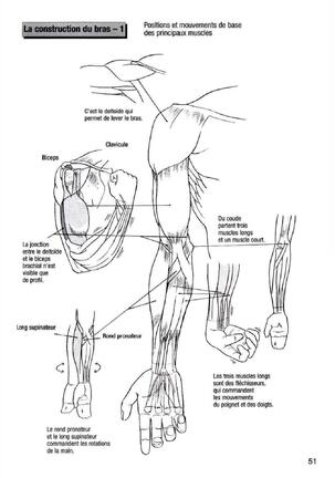 How To Draw Manga Vol. 25 Bodies and Anatomy Page #51