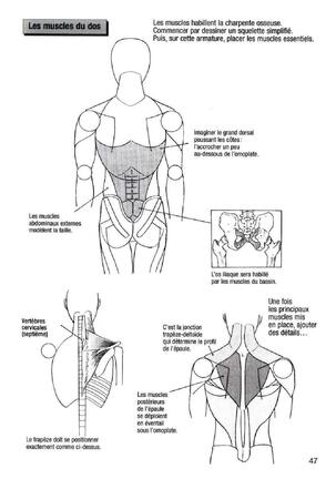 How To Draw Manga Vol. 25 Bodies and Anatomy Page #47